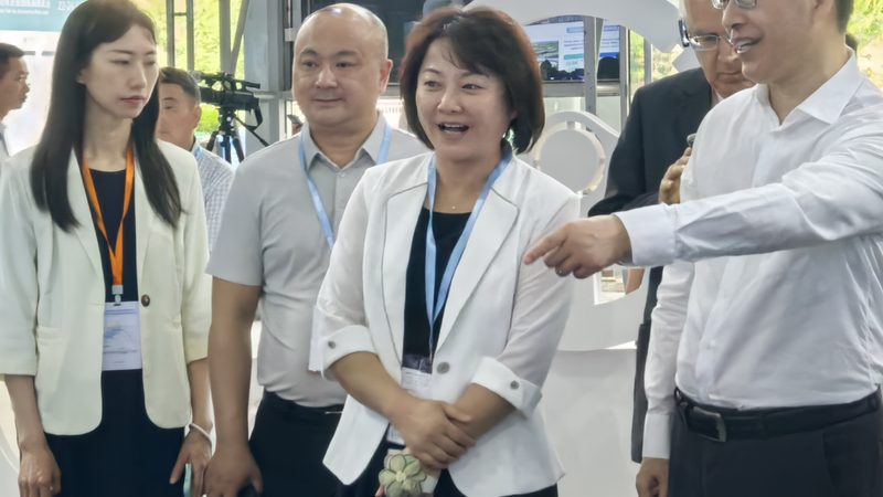 汽车滤清器：如何选择合适的代理价格及型号参数